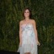 CHANEL Dinner For NRDC 