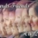 Friends Awards