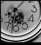 2005-07-17 17-16-00