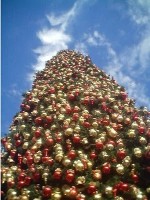 2010-12-24 16-16-00